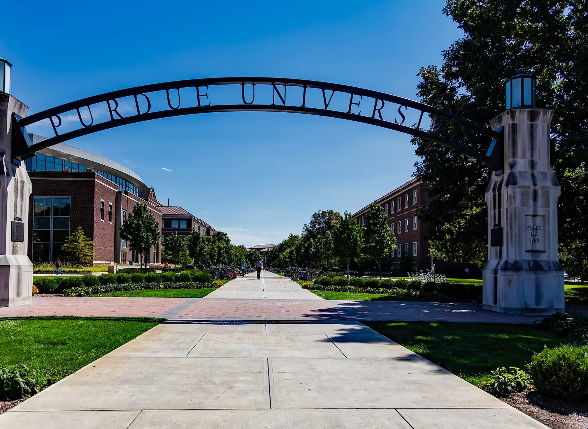 Будущее после бизнес-школы