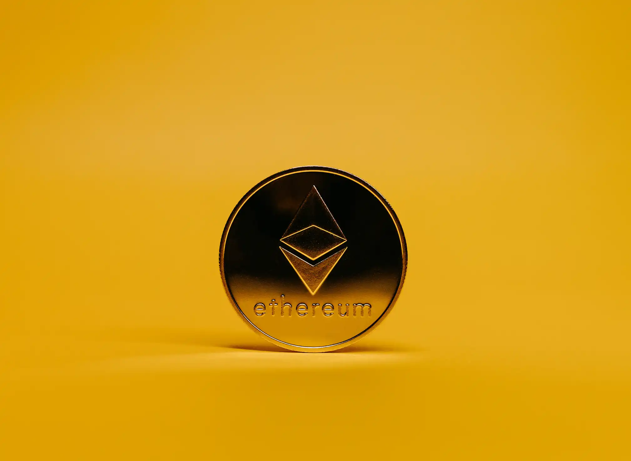 Успех в цифровом мире