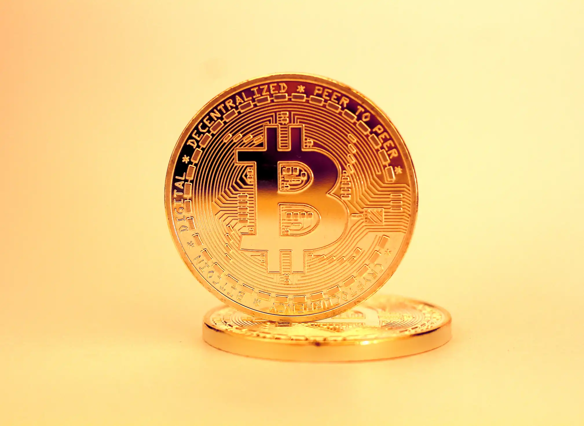 Курс обучения с использованием NFT